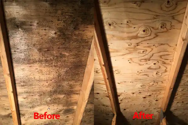 water damage restoration service Farmington Hills